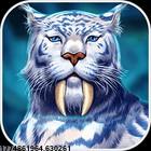 定制化运营策略